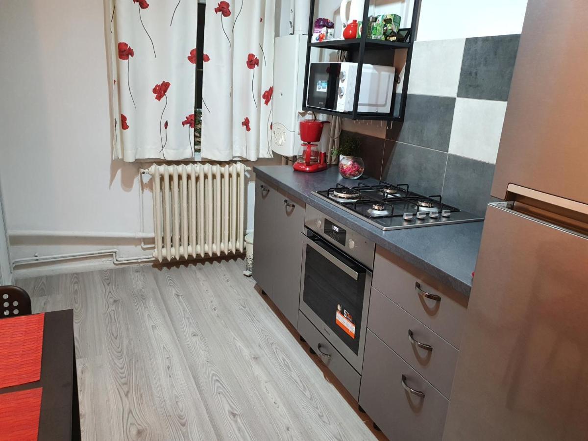 Mia Central Apart, 3 Rooms, 2 Baths, Afi Mall Brasov Luaran gambar